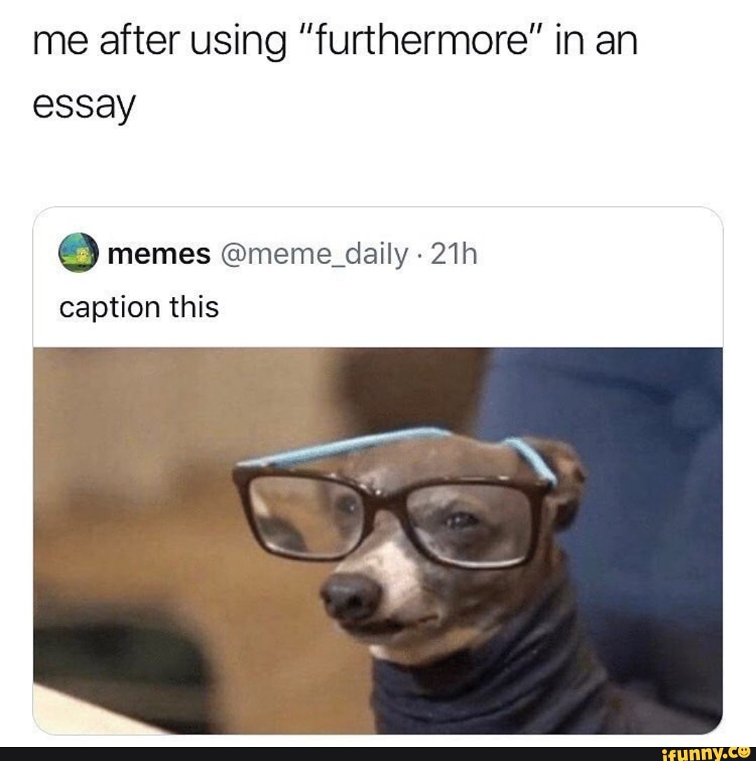 when you use furthermore in an essay meme