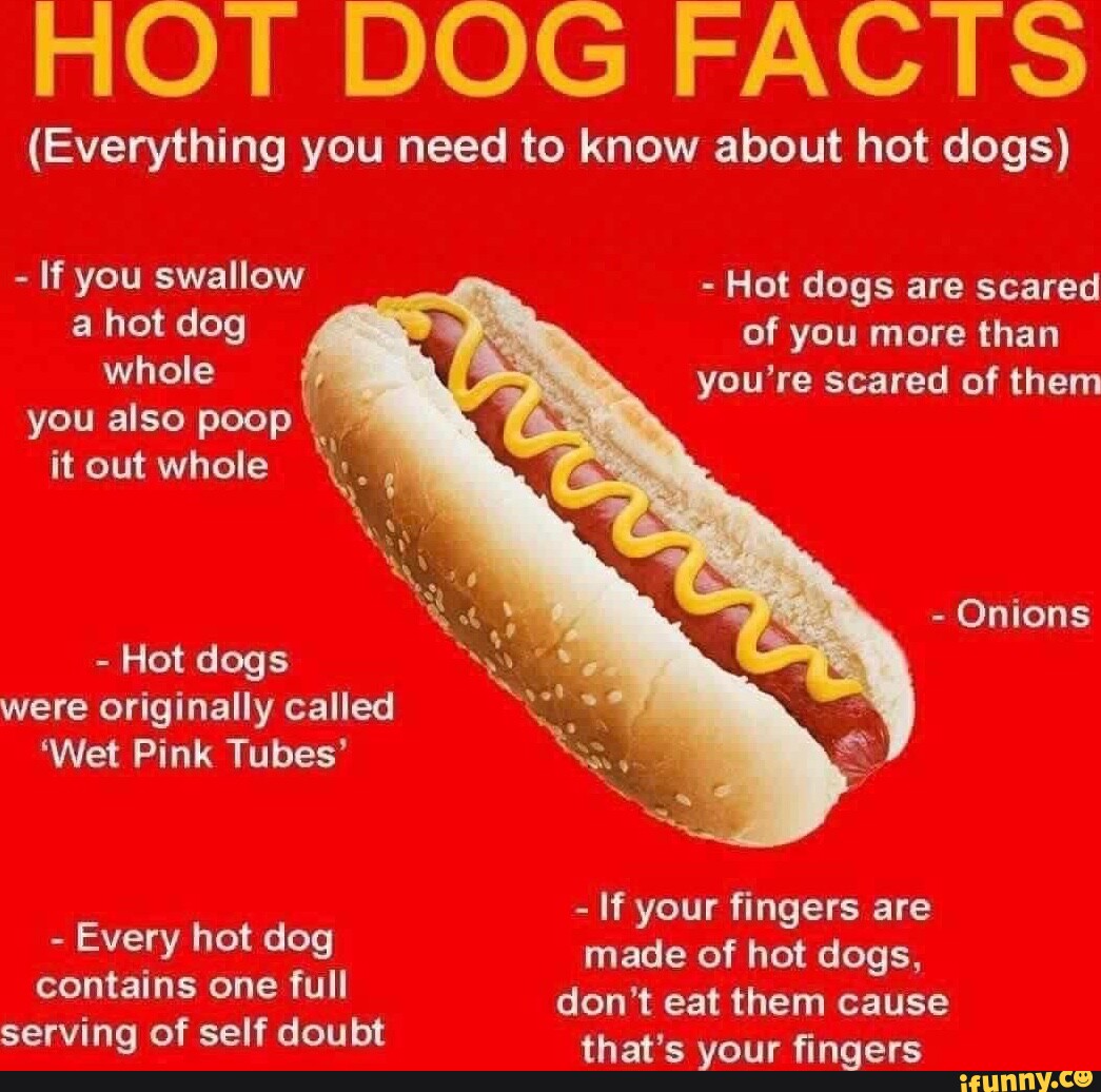 HOT DOG FACTS (Everything you need to know about hot dogs) If you