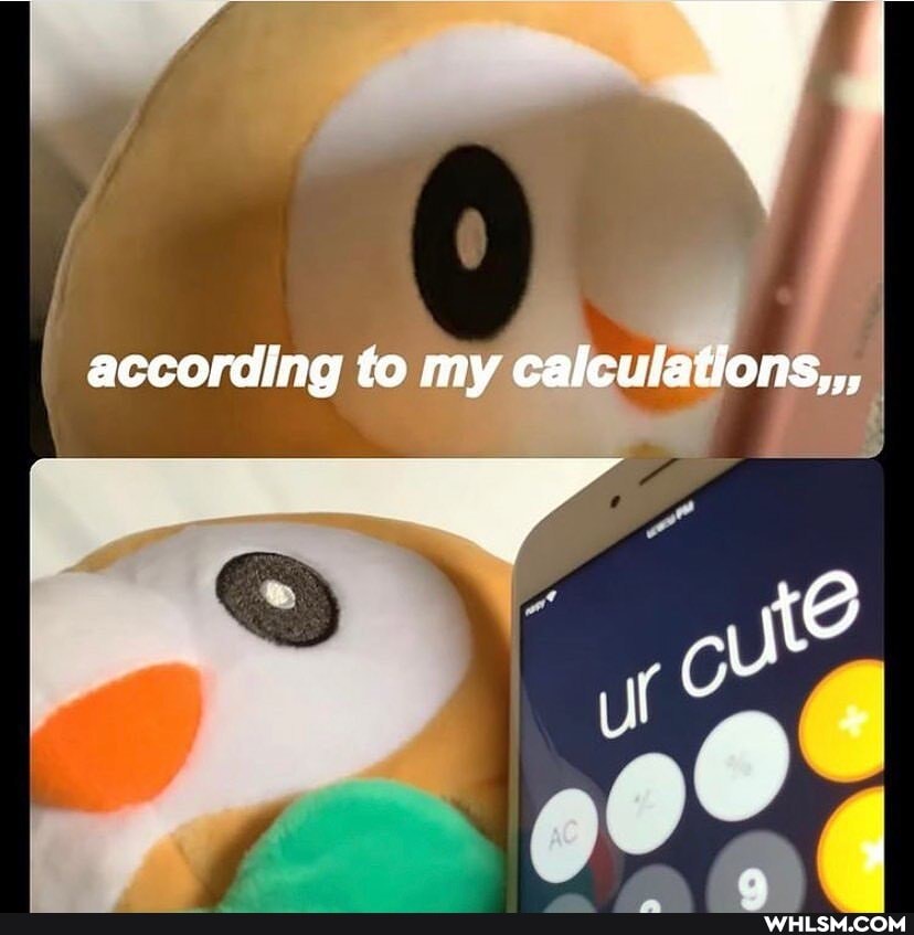 acscorellag ie