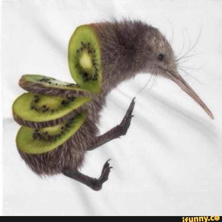 Cursed bird Memes Best Collection Of Funny Cursed bird Pictures On IFunny