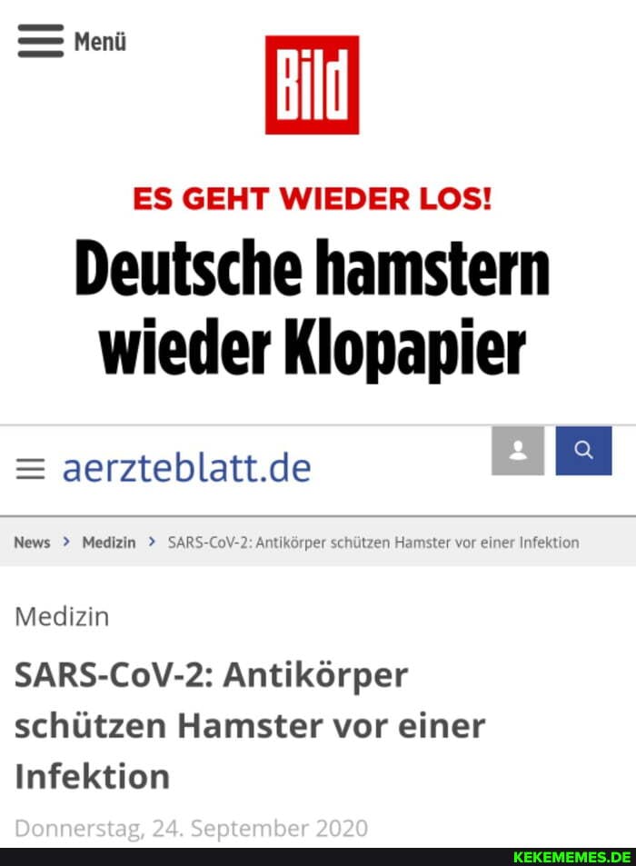 Bild
ES GEHT WIEDER LOS!
Deutsche hamstern wieder Klopapier
= aerzteblatt.de
News > Medizin > SARS-CoV-2: Antikörper schützen Hamster vor einer Infektion
Medizin
SARS-CoV-2: Antikörper schützen Hamster vor einer
Infektion