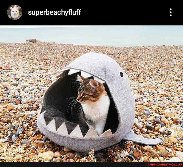 superbeachyflu
al