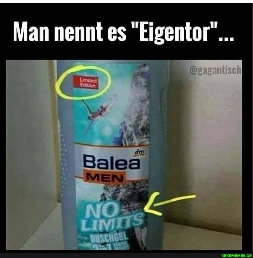 Man nennt es "Eigentor"...
Balea
