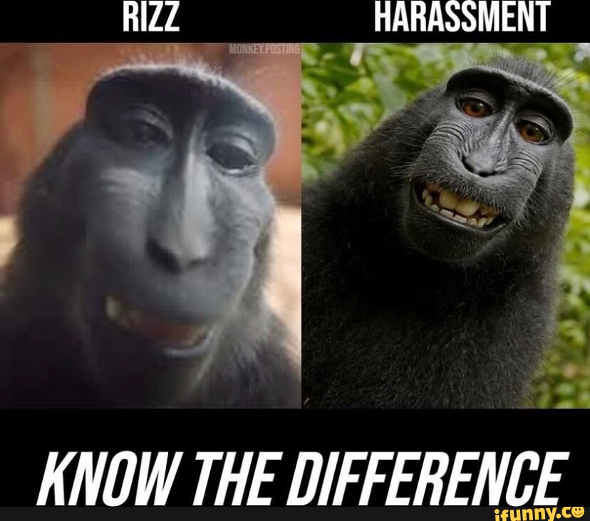 RIZZ HARASSMENT KNOW THE DIFFERENCE - iFunny