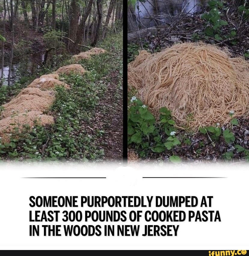 Sonic the hedgehog, meme template iFunny