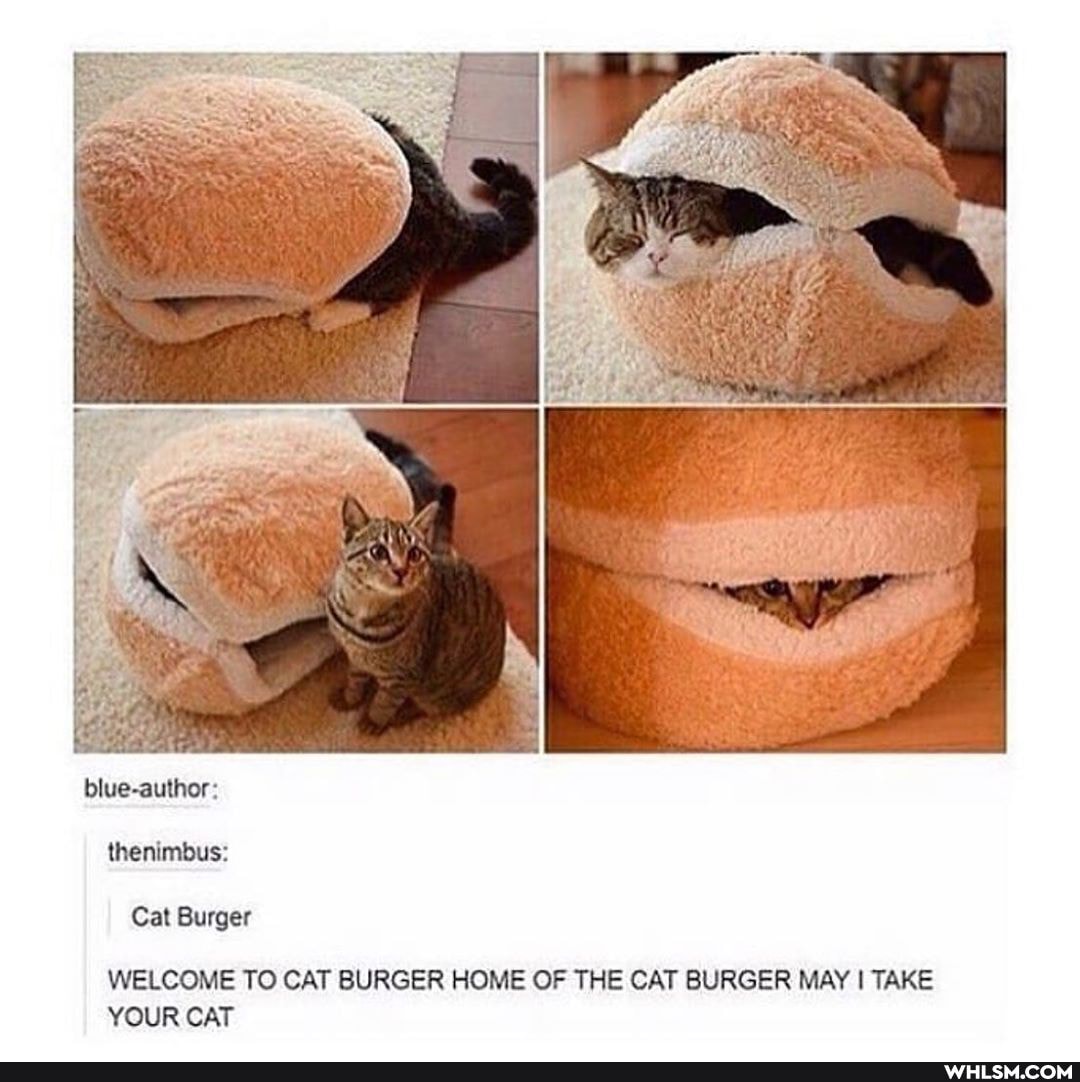 blue-author:
thenimbus:
Cat Burger
WELCOME TO CAT BURGER HOME OF THE CAT BURGER MAY I TAKE YOUR CAT