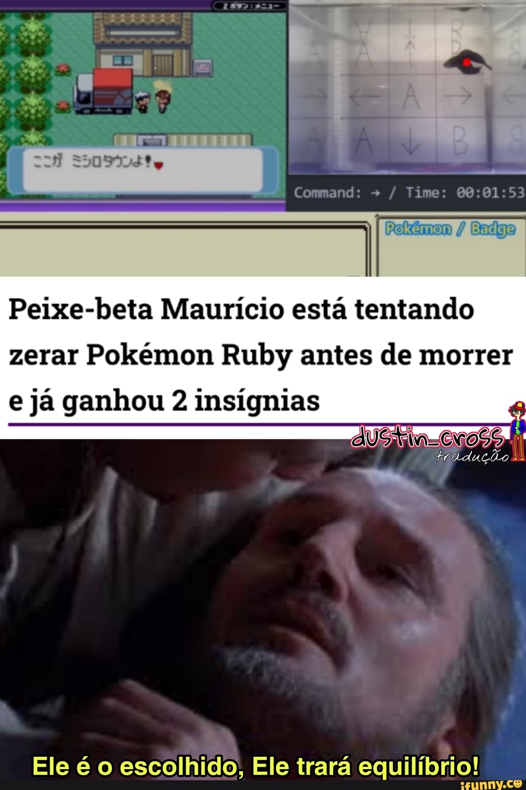 aros
Comrand: Timo:
Peixe-beta Maurício está tentando zerar Pokémon Ruby antes de morrer
e já ganhou 2 insígnias
Ele é o escolhido, Ele trará equilíbrio!