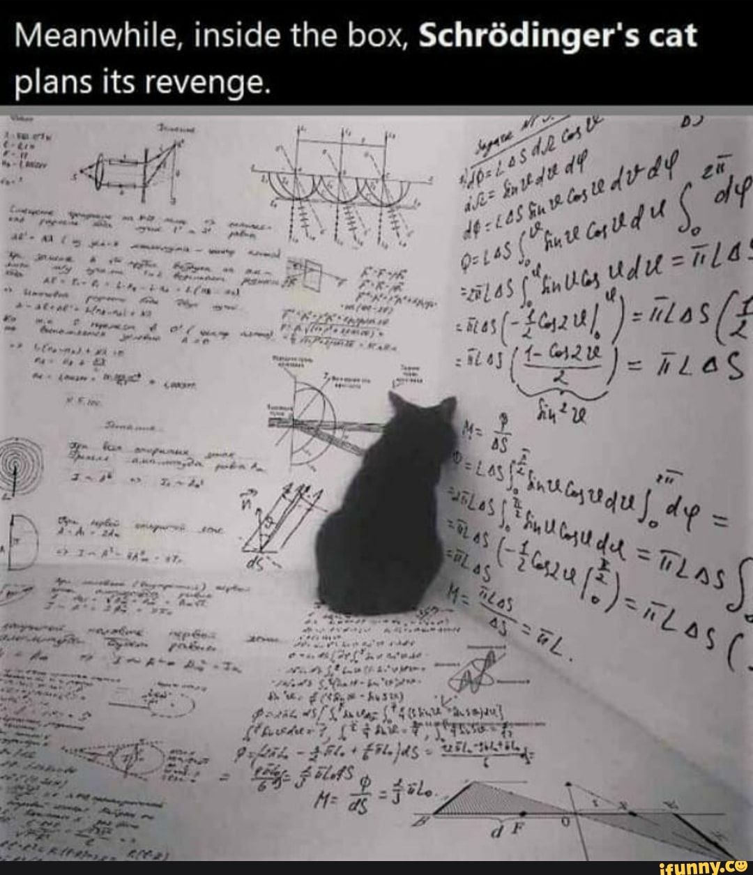 Meanwhile, inside the box, Schrédinger's cat
plans its revenge.
