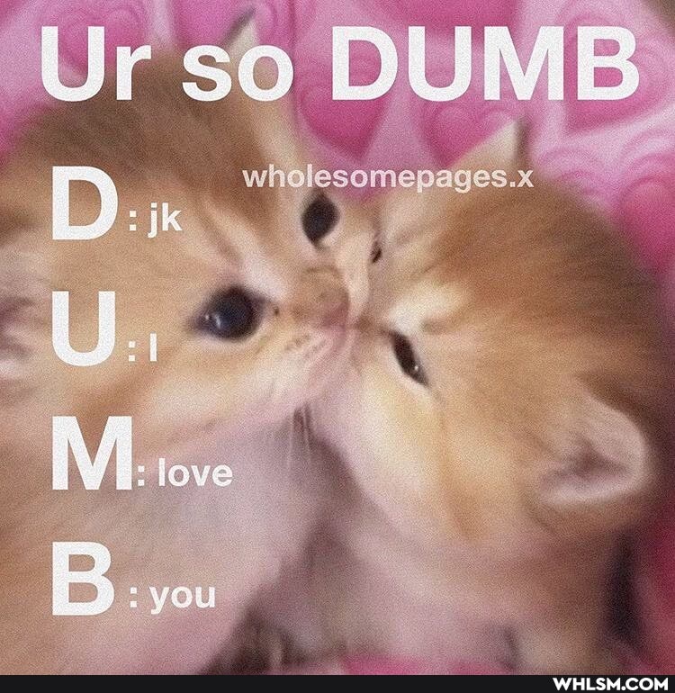 Ur so DUMB