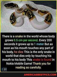 'There is a snake in the world whose body
'grows 0.5 cm per second. Every 200 seconds it grows up to meter But as soon as his mouth touches any part of his body, he dies This is the only snake in world that dies only by touching his
'mouth to his body This in
Nokia Mobile Game! Thank you for