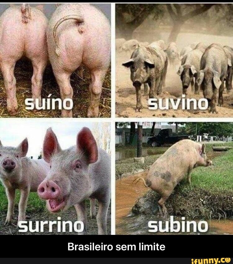 Brasileiro sem limite - Brasileiro sem limite