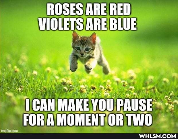 ROSES ARE RED VIOLETS ARE BLUE
CAN MAKE YOU PAUSE FOR A MOMENT OR TWO