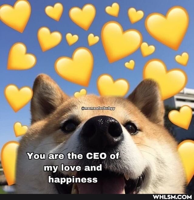 You are the CEO of my love and happiness