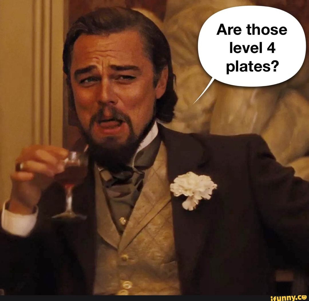 level 4 plates