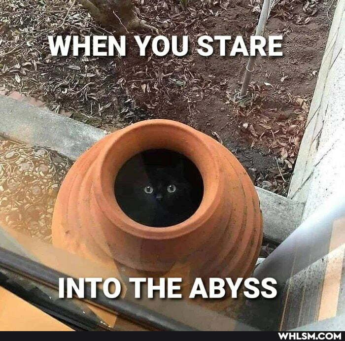 WHEN YOU STARE
INTO THE ABYSS