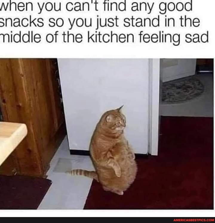 snacks so you just stand in the iddle of the kitchen feeling sad