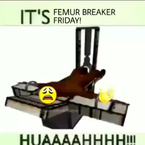 Breaker перевод. Femur Breaker.