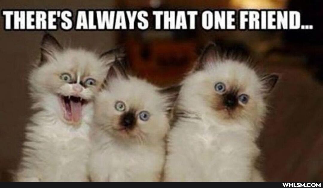 THERE'S ALWAYS THAT ONE FRIEND...