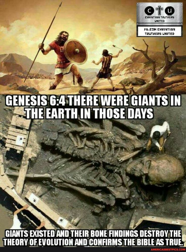 Genesis There Were Giants In The Earth In Those Days Giants Existed And Their Bohe Fimdings Destroy The Theory Of Evolution And Cowfiris The Bible As True America S Best Pics And