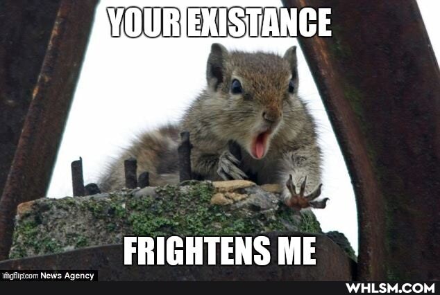 FRIGHTENS ME