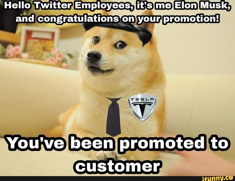 Hello Twitter Employees It S Me Elon Musk And Congratulations On You