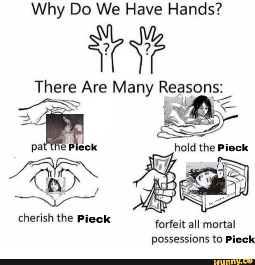 Why Do We Have Hands? There Are Many Reasons: pat the Pieck hold the ...