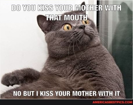 DOMOUKASS NOUR MOPHER WITH THAT MOUTH
NO BUT KISS YOUR MOTHER WITH IT