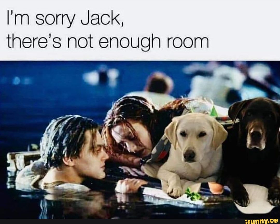 The real truth of jack die in titanic. Funny dog memes - I'm sorry Jack,  there's not enough room - iFunny Brazil