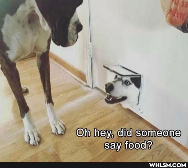 Oh hey, did someone say food?