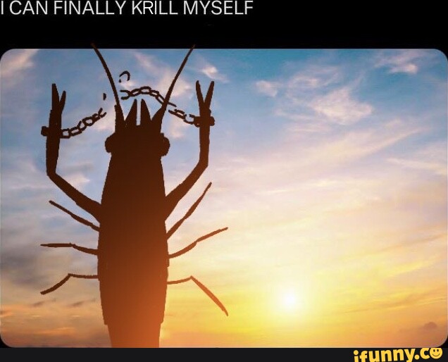 I CAN FINALLY KRILL MYSELF AK - iFunny