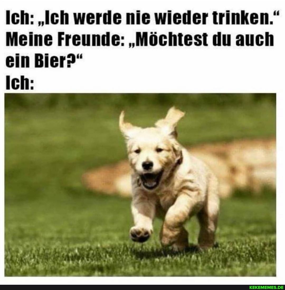 Ich: "Ich werde nie wieder trinken."
Meine Freunde: "Möchtest du auch ein Bier?"
Ich: