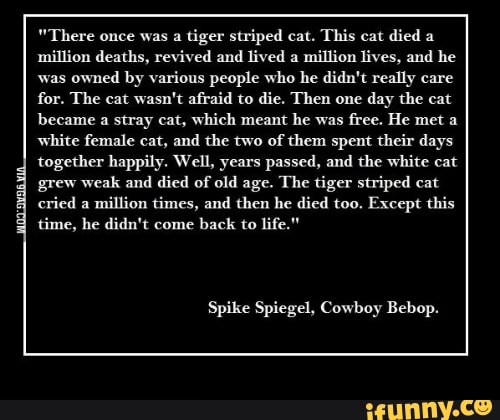 tiger striped cat cowboy bebop