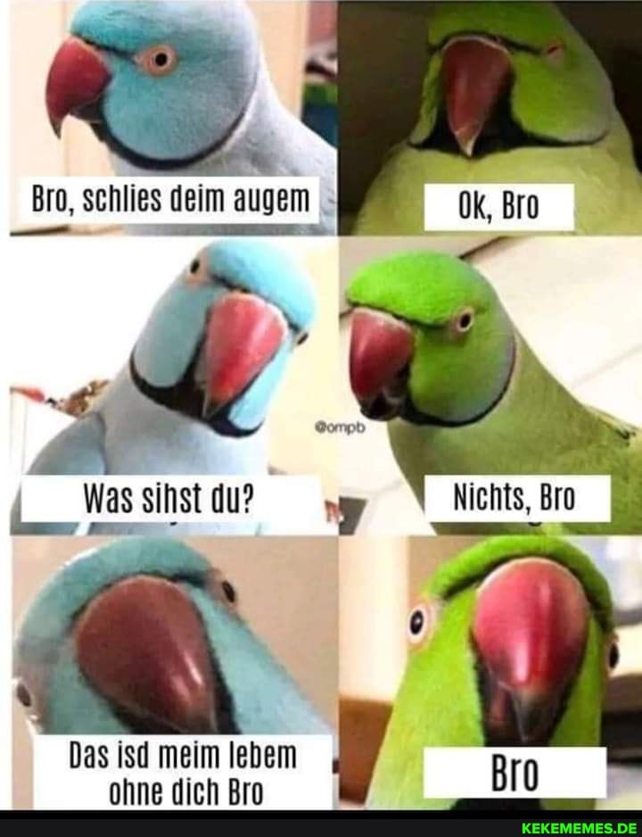 _Was sinst du? "Nichts, Bro
Das isd meim lebem ohne dich Bro
