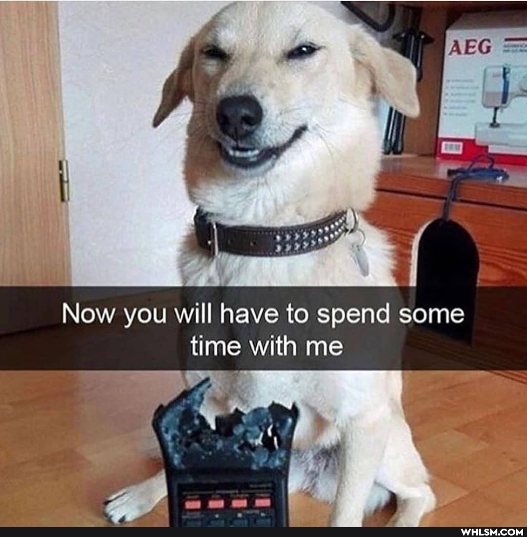 Now you will have to spend some time with me