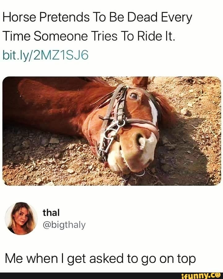 Horse Pretends To Be Dead Every
Time Someone Tries To Ride It.
bit
Me when I get asked to go on top