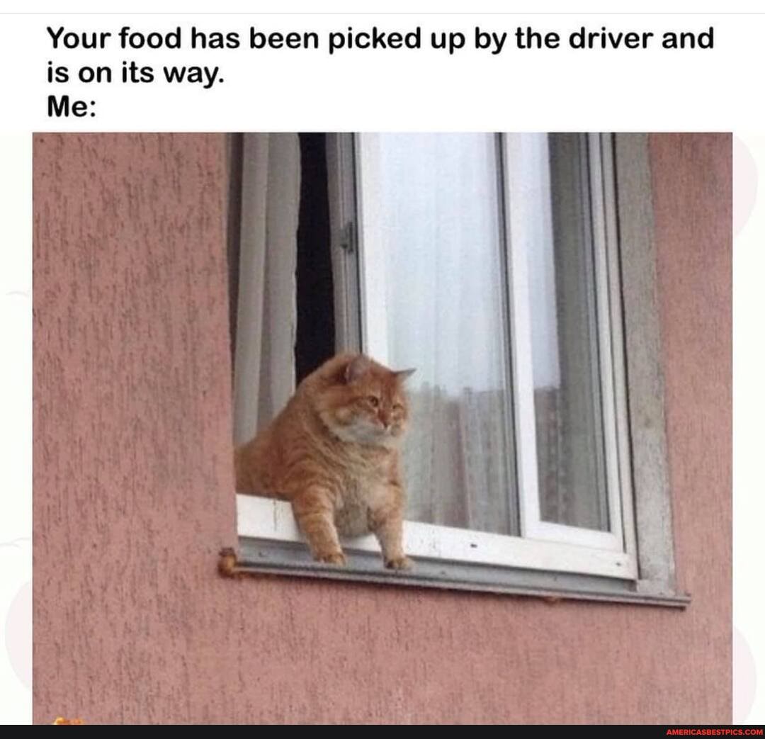 Your food has been picked up by the driver and is on its way.
Me: