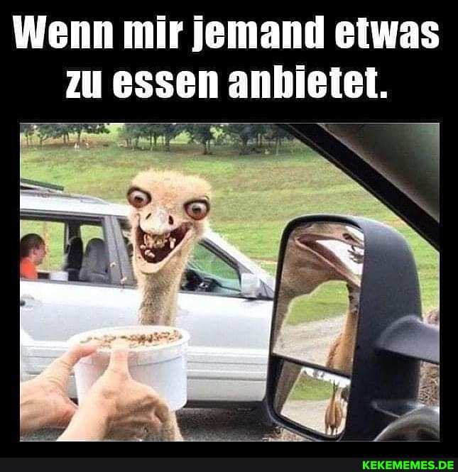 Wenn mir jemand etwas zu essen anhietet.