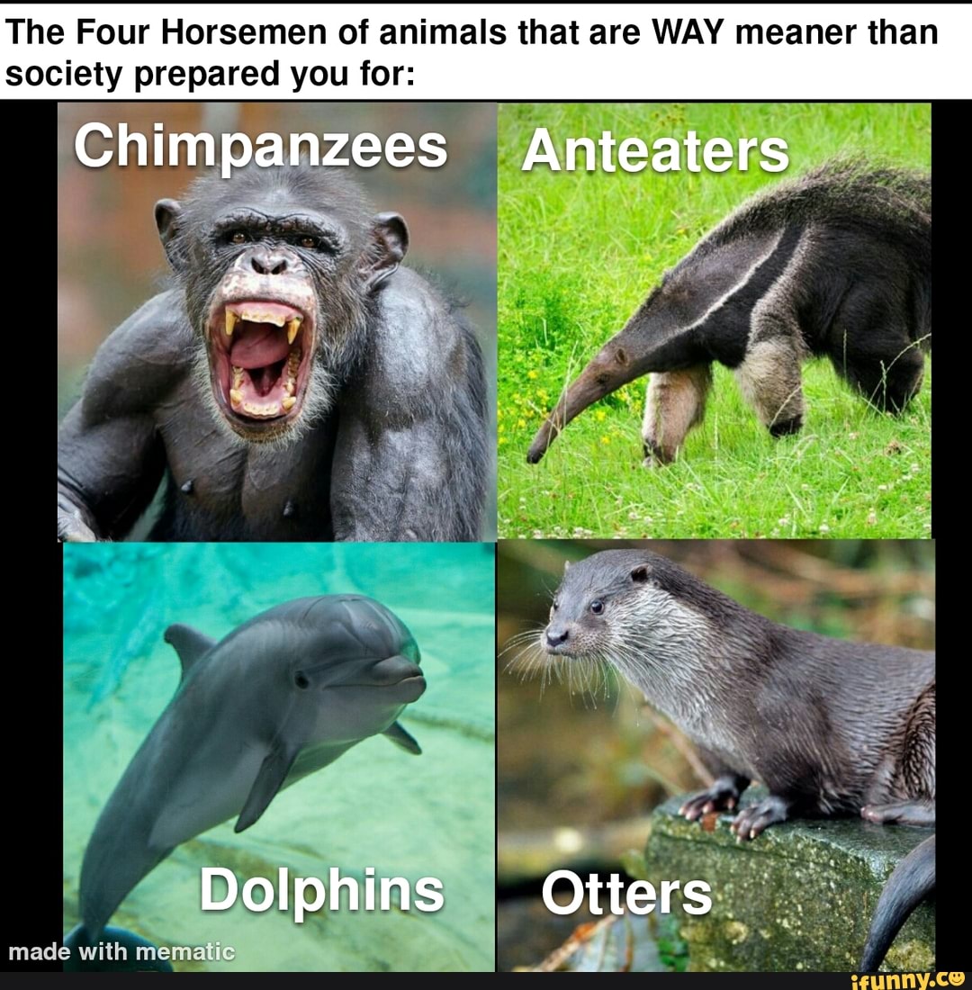 The Four Horsemen of animals that are WAY meaner than society prepared