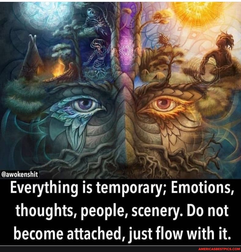 @awokenshit
Everything is temporary; Emotions, thoughts, people, scenery. Do not become attached, just flow with it.