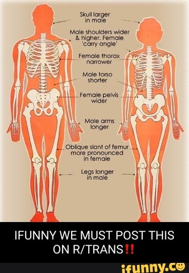 Hijra body anatomy
