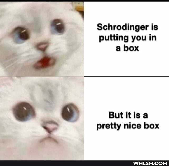 Schrodinger is
putting you in
a box
But itis a pretty nice box