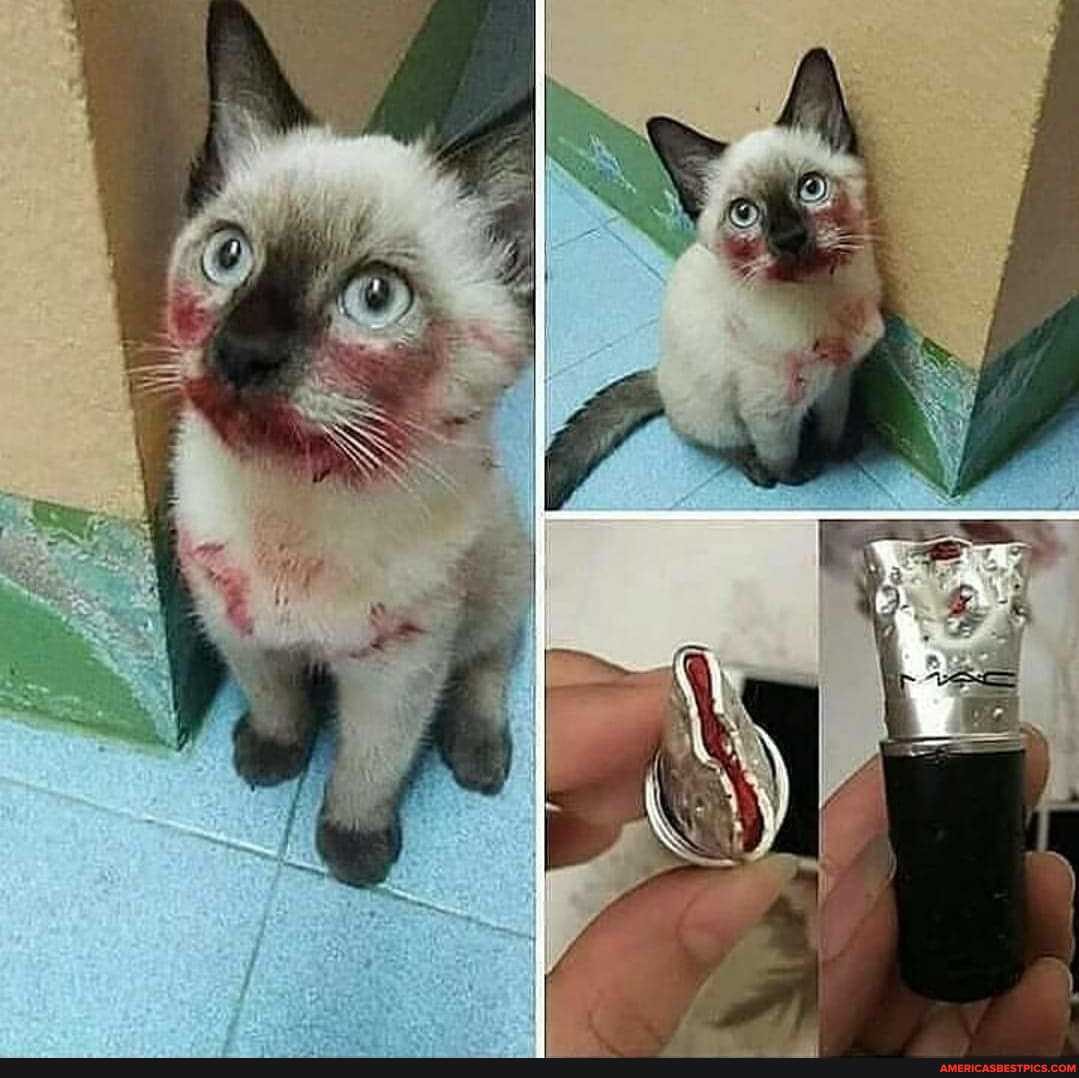 suggest, punishment