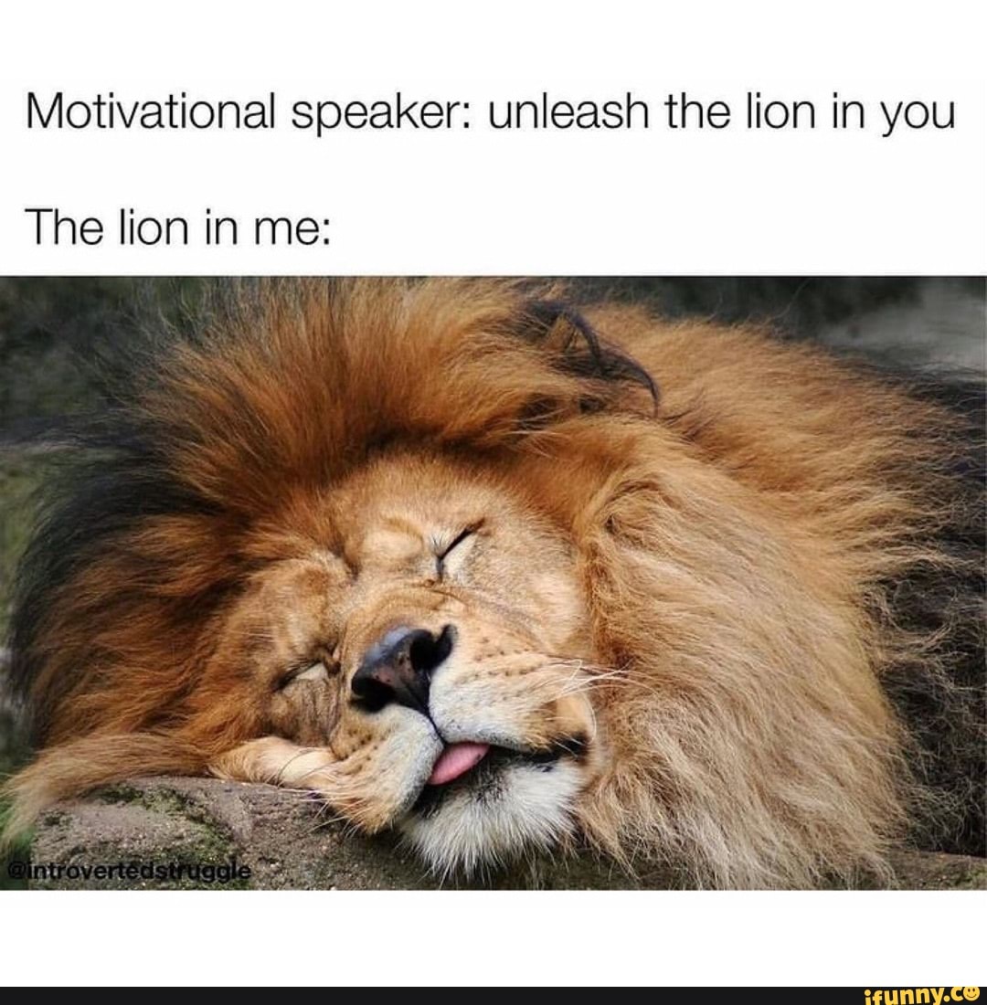 Motivational speaker: unleash the lion in you The lion in me: - )