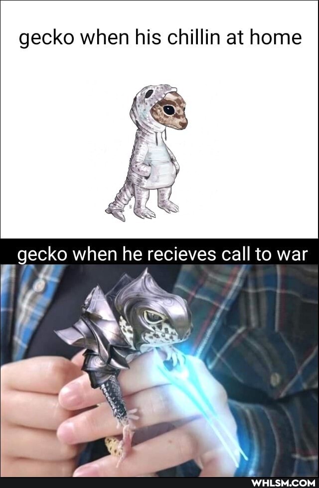 gecko when his chillin at home
_ gecko when he recieves call to war