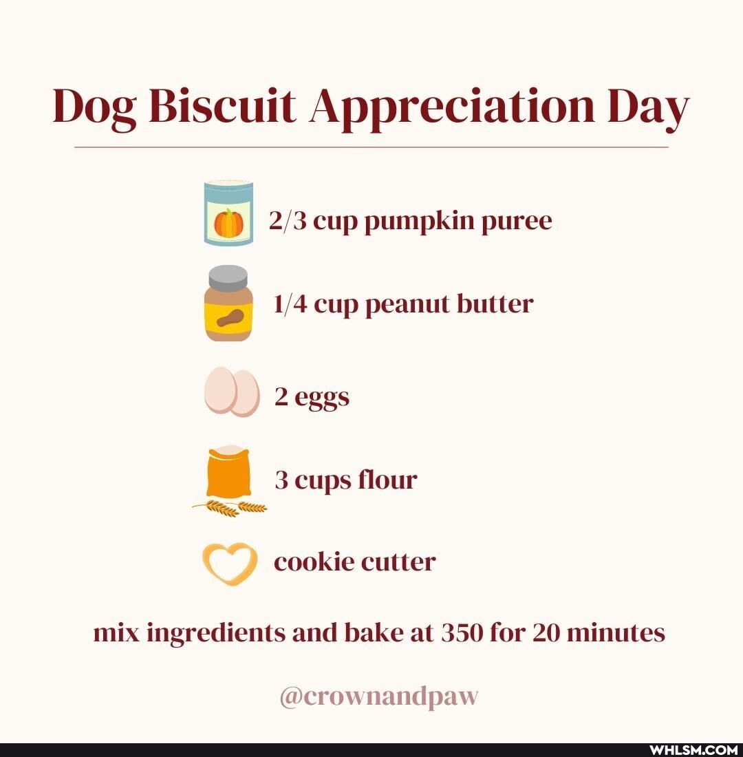 Dog Biscuit Appreciation Day
( "I cup pumpkin puree
cup peanut butter
2 cggs
3 cups flour
cookie cutter
mix ingredients and bake at 350 for 20 minutes
@crow nand paw