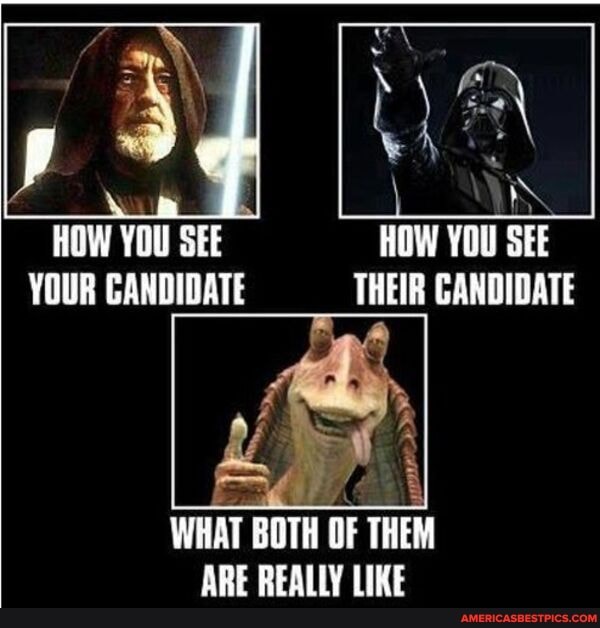 HOW YOU SEE YOUR CANDIDATE THEIR CANDIDATE
WHAT BOTH OF THEM ARE REALLY LIKE