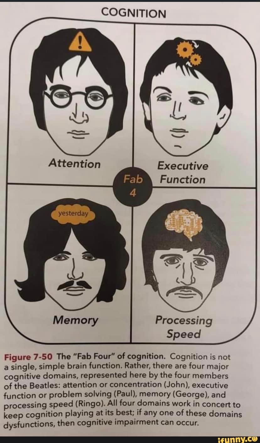 Science diagrams that look like shitposts - COGNITION Attention ...