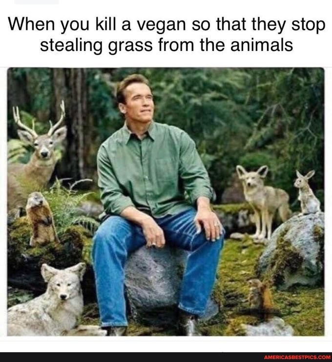 When you kill a vegan so that they stop stealing grass from the animals
