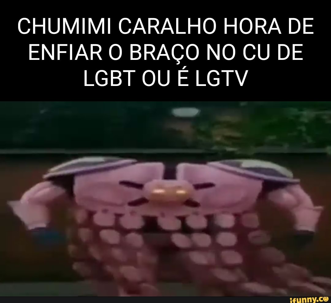 CHUMIMI CARALHO HORA DE ENFIAR O BRAÇO NO CU DE LGBT OU LGTV - iFunny