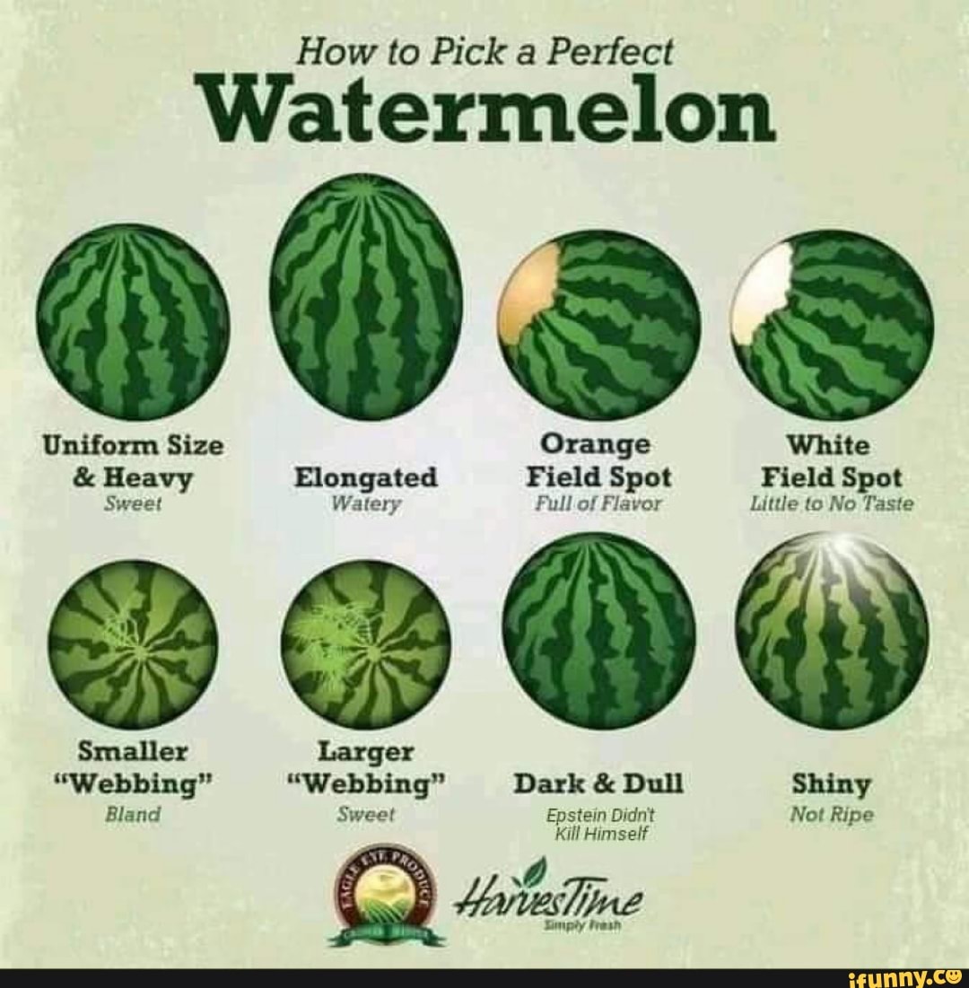 How to Pick a Perfect Watermelon Uniform Size Orange White & Heavy